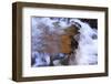 USA, Tennessee. Cascades along the Little River in the Smoky Mountains.-Joanne Wells-Framed Photographic Print