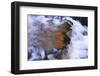 USA, Tennessee. Cascades along the Little River in the Smoky Mountains.-Joanne Wells-Framed Photographic Print