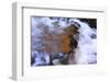 USA, Tennessee. Cascades along the Little River in the Smoky Mountains.-Joanne Wells-Framed Photographic Print