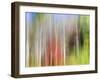USA, Tennessee, Cherokee NF. Abstract Tree Reflections in Pond-Don Paulson-Framed Photographic Print