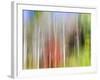 USA, Tennessee, Cherokee NF. Abstract Tree Reflections in Pond-Don Paulson-Framed Photographic Print