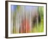 USA, Tennessee, Cherokee NF. Abstract Tree Reflections in Pond-Don Paulson-Framed Photographic Print