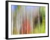 USA, Tennessee, Cherokee NF. Abstract Tree Reflections in Pond-Don Paulson-Framed Photographic Print