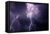 USA, Tennessee. Composite of Cloud-To-Cloud Lightning Bolts-Jaynes Gallery-Framed Stretched Canvas