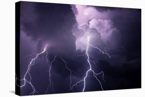 USA, Tennessee. Composite of Cloud-To-Cloud Lightning Bolts-Jaynes Gallery-Stretched Canvas
