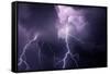 USA, Tennessee. Composite of Cloud-To-Cloud Lightning Bolts-Jaynes Gallery-Framed Stretched Canvas