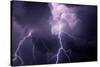 USA, Tennessee. Composite of Cloud-To-Cloud Lightning Bolts-Jaynes Gallery-Stretched Canvas