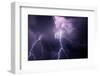 USA, Tennessee. Composite of Cloud-To-Cloud Lightning Bolts-Jaynes Gallery-Framed Photographic Print