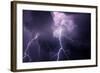 USA, Tennessee. Composite of Cloud-To-Cloud Lightning Bolts-Jaynes Gallery-Framed Photographic Print