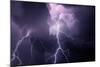 USA, Tennessee. Composite of Cloud-To-Cloud Lightning Bolts-Jaynes Gallery-Mounted Photographic Print