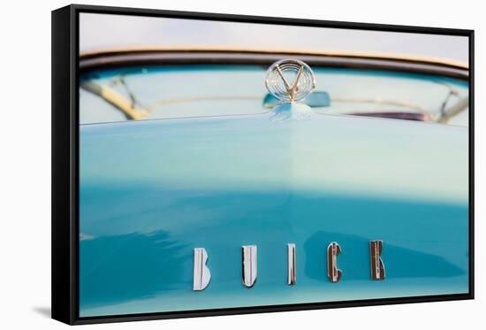 USA, Tennessee, Cookeville. Detail of vintage car on display during an antique car show.-Luc Novovitch-Framed Stretched Canvas