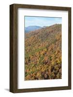 USA, Tennessee. Deciduous fall color and evergreens, Appalachian Mountains-Trish Drury-Framed Photographic Print