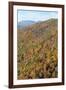 USA, Tennessee. Deciduous fall color and evergreens, Appalachian Mountains-Trish Drury-Framed Photographic Print