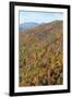 USA, Tennessee. Deciduous fall color and evergreens, Appalachian Mountains-Trish Drury-Framed Photographic Print