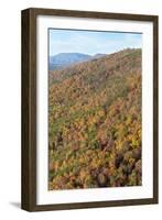 USA, Tennessee. Deciduous fall color and evergreens, Appalachian Mountains-Trish Drury-Framed Photographic Print