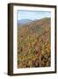 USA, Tennessee. Deciduous fall color and evergreens, Appalachian Mountains-Trish Drury-Framed Photographic Print