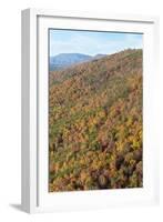 USA, Tennessee. Deciduous fall color and evergreens, Appalachian Mountains-Trish Drury-Framed Photographic Print