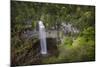 USA, Tennessee. Fall Creek Falls, a Double Waterfall-Jaynes Gallery-Mounted Photographic Print