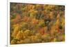 USA, Tennessee. Fall foliage in the Smoky Mountains.-Anna Miller-Framed Photographic Print