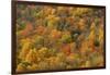 USA, Tennessee. Fall foliage in the Smoky Mountains.-Anna Miller-Framed Photographic Print