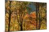 USA, Tennessee. Fall foliage in the Smoky Mountains.-Anna Miller-Mounted Photographic Print