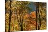 USA, Tennessee. Fall foliage in the Smoky Mountains.-Anna Miller-Stretched Canvas