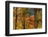 USA, Tennessee. Fall foliage in the Smoky Mountains.-Anna Miller-Framed Photographic Print