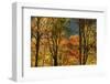 USA, Tennessee. Fall foliage in the Smoky Mountains.-Anna Miller-Framed Photographic Print