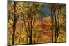 USA, Tennessee. Fall foliage in the Smoky Mountains.-Anna Miller-Mounted Photographic Print