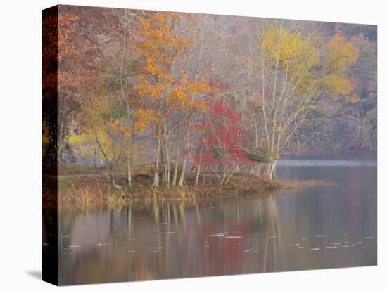 USA, Tennessee, Falls Creek Falls State Park. Autumn forest reflects in lake.-Jaynes Gallery-Stretched Canvas