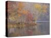 USA, Tennessee, Falls Creek Falls State Park. Autumn forest reflects in lake.-Jaynes Gallery-Stretched Canvas