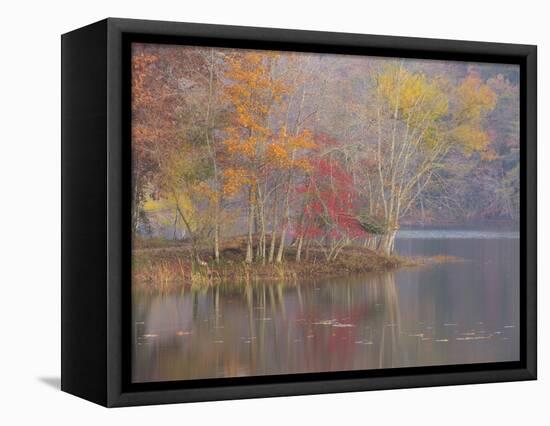 USA, Tennessee, Falls Creek Falls State Park. Autumn forest reflects in lake.-Jaynes Gallery-Framed Stretched Canvas