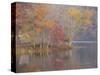 USA, Tennessee, Falls Creek Falls State Park. Autumn forest reflects in lake.-Jaynes Gallery-Stretched Canvas