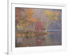 USA, Tennessee, Falls Creek Falls State Park. Autumn forest reflects in lake.-Jaynes Gallery-Framed Photographic Print