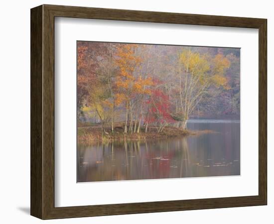 USA, Tennessee, Falls Creek Falls State Park. Autumn forest reflects in lake.-Jaynes Gallery-Framed Photographic Print