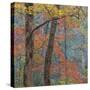 USA, Tennessee. Forest scenic in autumn.-Jaynes Gallery-Stretched Canvas