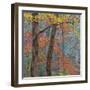 USA, Tennessee. Forest scenic in autumn.-Jaynes Gallery-Framed Photographic Print