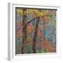 USA, Tennessee. Forest scenic in autumn.-Jaynes Gallery-Framed Photographic Print