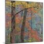 USA, Tennessee. Forest scenic in autumn.-Jaynes Gallery-Mounted Photographic Print