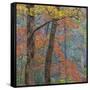 USA, Tennessee. Forest scenic in autumn.-Jaynes Gallery-Framed Stretched Canvas