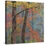 USA, Tennessee. Forest scenic in autumn.-Jaynes Gallery-Stretched Canvas