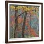 USA, Tennessee. Forest scenic in autumn.-Jaynes Gallery-Framed Photographic Print