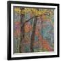 USA, Tennessee. Forest scenic in autumn.-Jaynes Gallery-Framed Photographic Print