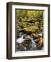 USA, Tennessee. Gatlinburg. Great Smoky Mountains National Park, Flowing creek along the Roaring Fo-Ann Collins-Framed Photographic Print