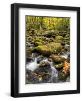 USA, Tennessee. Gatlinburg. Great Smoky Mountains National Park, Flowing creek along the Roaring Fo-Ann Collins-Framed Photographic Print