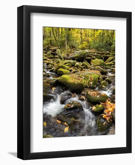 USA, Tennessee. Gatlinburg. Great Smoky Mountains National Park, Flowing creek along the Roaring Fo-Ann Collins-Framed Photographic Print