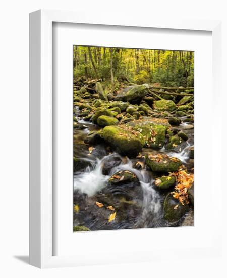 USA, Tennessee. Gatlinburg. Great Smoky Mountains National Park, Flowing creek along the Roaring Fo-Ann Collins-Framed Photographic Print