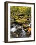 USA, Tennessee. Gatlinburg. Great Smoky Mountains National Park, Flowing creek along the Roaring Fo-Ann Collins-Framed Photographic Print