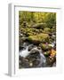 USA, Tennessee. Gatlinburg. Great Smoky Mountains National Park, Flowing creek along the Roaring Fo-Ann Collins-Framed Photographic Print