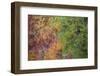 USA, Tennessee. Great Smoky Mountain National Park, Autumn reflections in Little River.-Joanne Wells-Framed Photographic Print